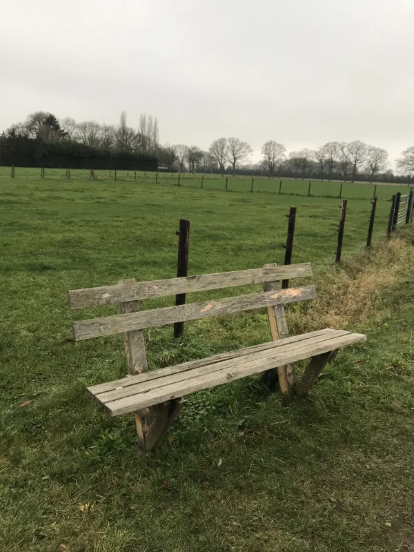 Langs een drukke weg